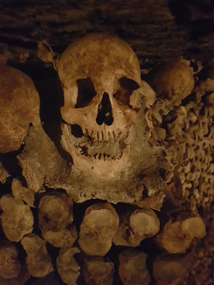 One of over a million skulls found in the Catacombs of Paris